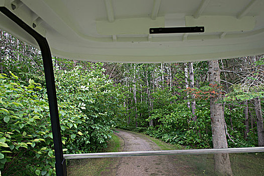树林,交通工具,赫克拉火山磨石省立公园,曼尼托巴,加拿大