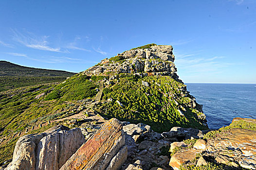 南非,西海角,岬角,半岛,好望角,自然保护区