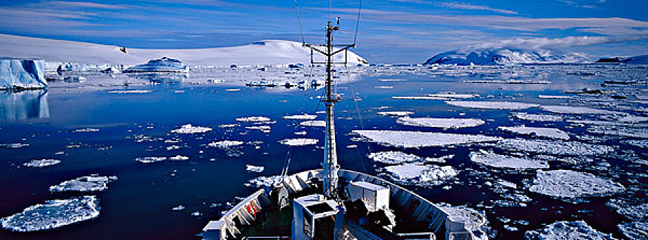 船首,游船,浮冰,南极半岛,南极