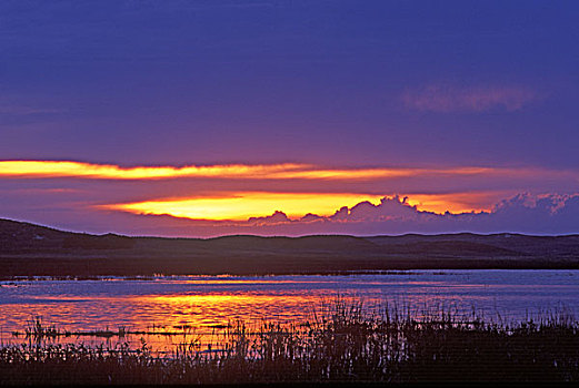 日出,上方,水塘,情人节,内布拉斯加州