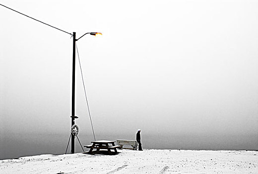 男人,倚靠,长椅,雪,遮盖,码头,奥斯陆,挪威