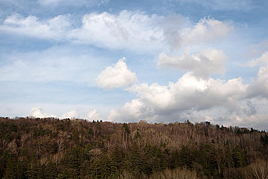 长白山风景