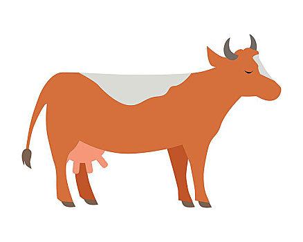 母牛,插画,矢量,风格,设计,家养动物,乡野,居民,概念,农牧,畜牧,牛奶,制作,隔绝,白色背景,背景