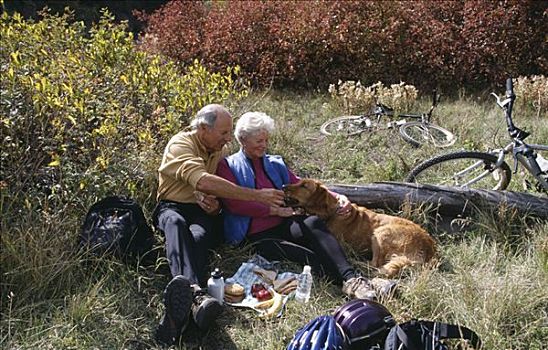老年,夫妻,野餐,狗
