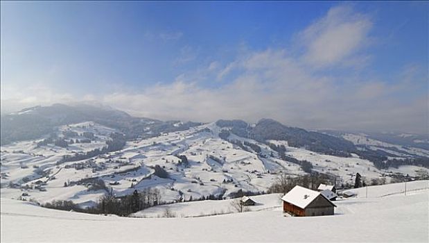 雪景,区域,吐根堡,瑞士,欧洲