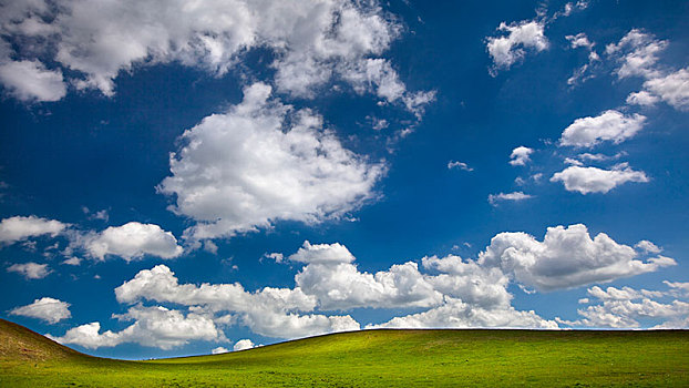 草场,蓝天,白云,苏格兰边境,苏格兰,英国,欧洲