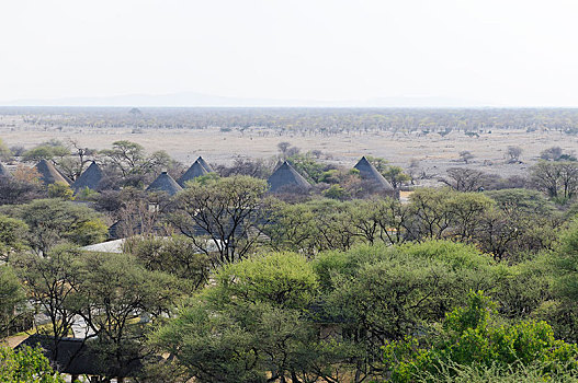 小屋,休息,露营,埃托沙国家公园,区域,纳米比亚,非洲