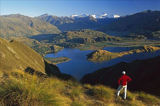远足者,山,渴望,远景,高处,瓦纳卡湖,中心,奥塔哥,新西兰