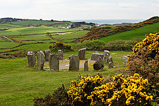 巨石,文化,爱尔兰,英国,欧洲
