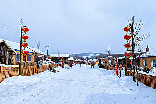 二合舒兰雪乡玉米