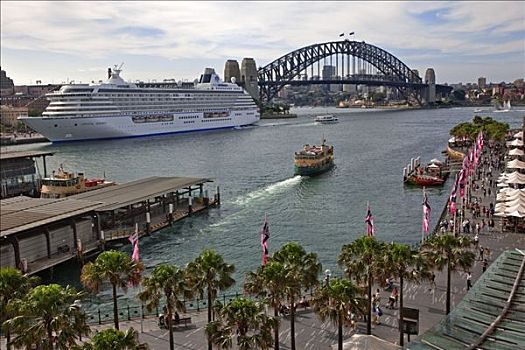 澳大利亚,新南威尔士,圆形码头,悉尼,小湾,大,客轮,靠近,悉尼海港大桥