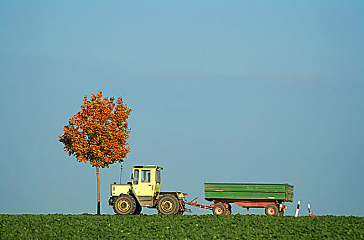 拖拉机,驾驶,地点,秋天