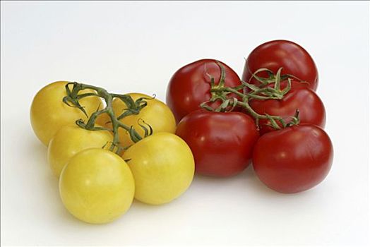 红色,黄色西红柿,番茄