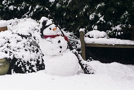 雪人,花园