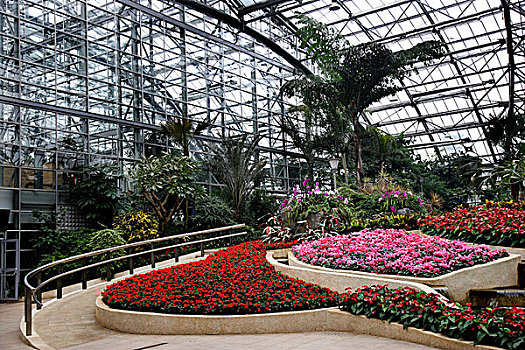 重庆南山植物园温室花卉植物