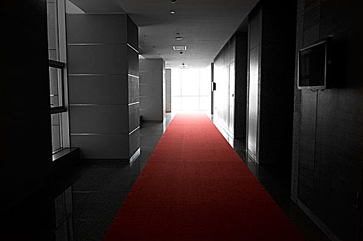 深蓝,长,大厅,红地毯