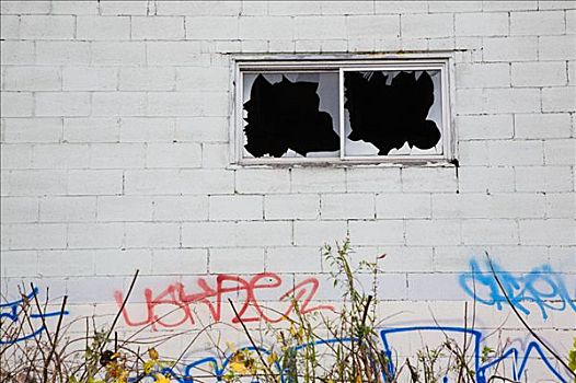 建筑,破损,窗户,涂鸦