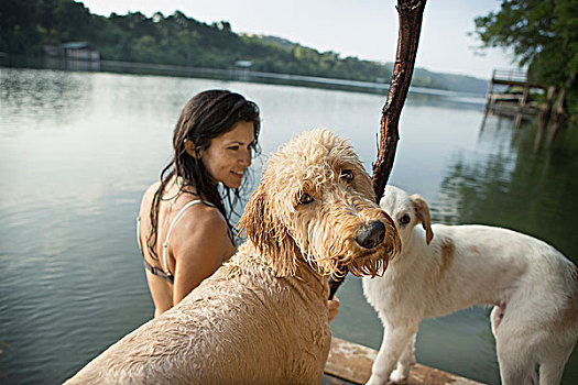 女人,游泳,两只,狗,湖