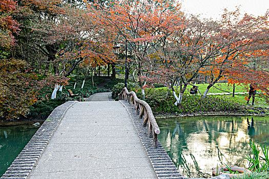 杭州太子湾公园秋景