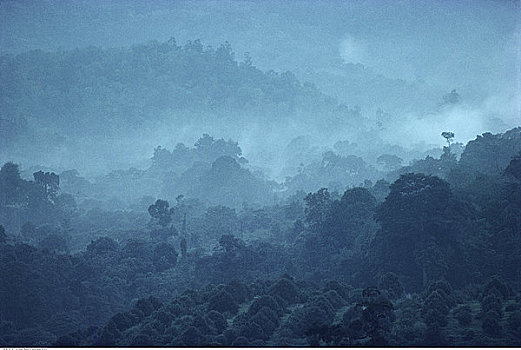俯视,金马伦高地,薄雾,马来西亚