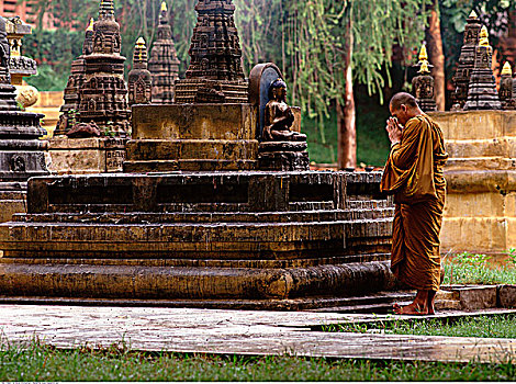 僧侣,佛教寺庙,印度