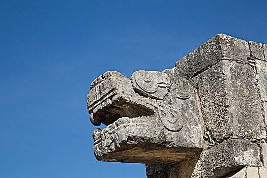 毒蛇,头部,奇琴伊察,尤卡坦半岛,墨西哥