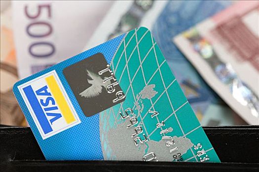 维萨卡,信用卡,钱包,欧元,钞票