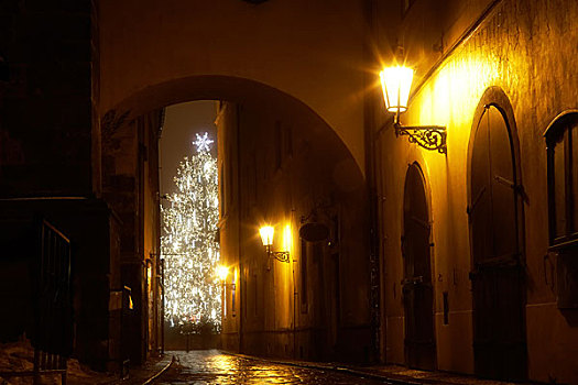 神秘,狭窄,小路,圣诞树,布拉格