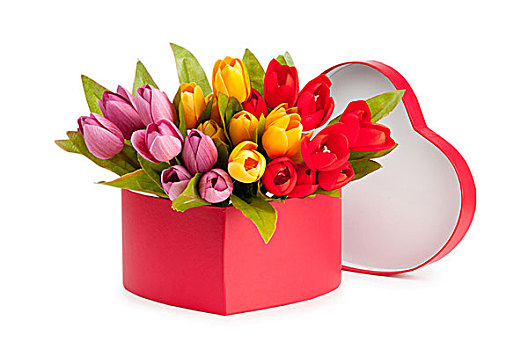 花,礼盒,隔绝,白色背景