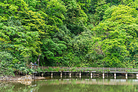 青城山的绿水与桥