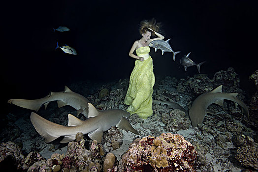 美女,黄色,连衣裙,姿势,水下,护理,鲨鱼,夜晚,印度洋,马尔代夫,亚洲