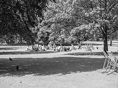 黑白,公园,伦敦
