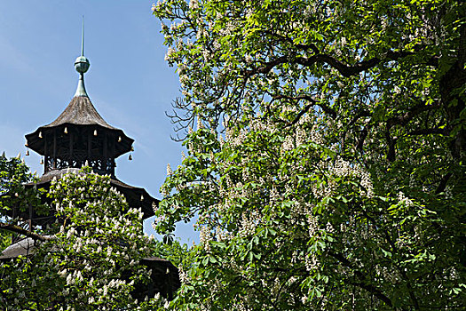 中式塔,英式花园,慕尼黑