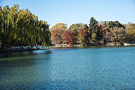 北京大学