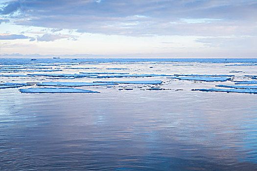 冬天,海洋,海边风景,漂浮,冰,碎片,安静,寒冷,水,海湾,芬兰,俄罗斯