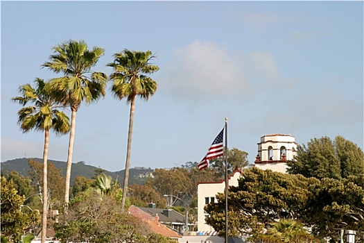 棕榈树,旗帜