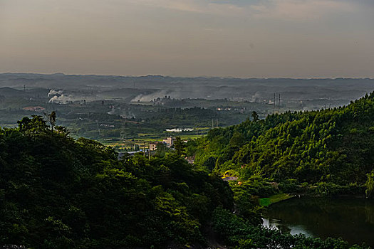 山,油菜花,春天,森林公园,驴友