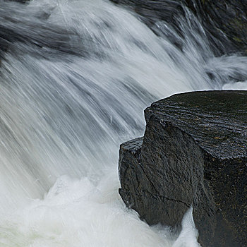 水,急促,上方,石头,河,安大略省,加拿大