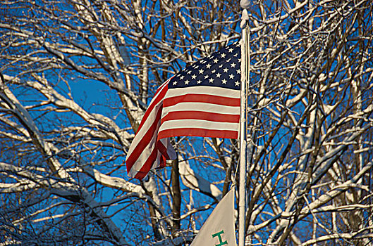 美国,新英格兰,马萨诸塞,读,美国国旗,暴风雪