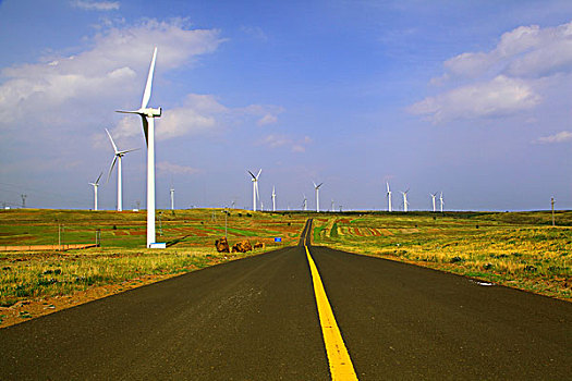 草原柏油路风车