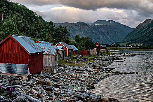 捕鱼,小屋,岸边,靠近,城镇,挪威北部,夏天