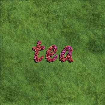 茶,创作,红色,花,草