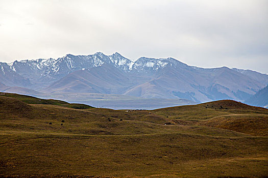 天山