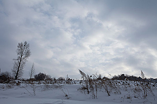 雪乡,雪村,吉林,临江市,村庄,山村,乡村,冬季,雪野,寒冷,农家,接待,旅游,松岭,东北,风情