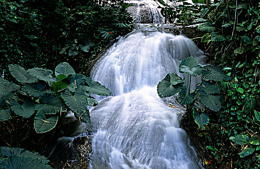 牙买加,奥乔里奥斯,瀑布