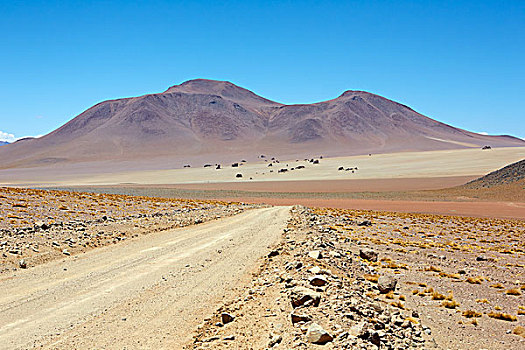 高原,波托西地区,地区,玻利维亚,南美