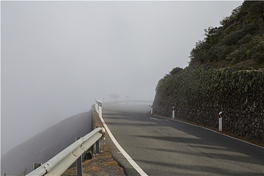 山路,雾气