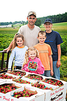家庭,草莓,农场,参加,挑选,宾夕法尼亚,美国