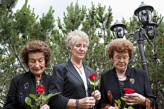 三个女人,拿着,一个,红玫瑰,埃德蒙顿,艾伯塔省,加拿大