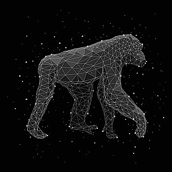 数码合成,图像,星座,黑猩猩,黑色背景